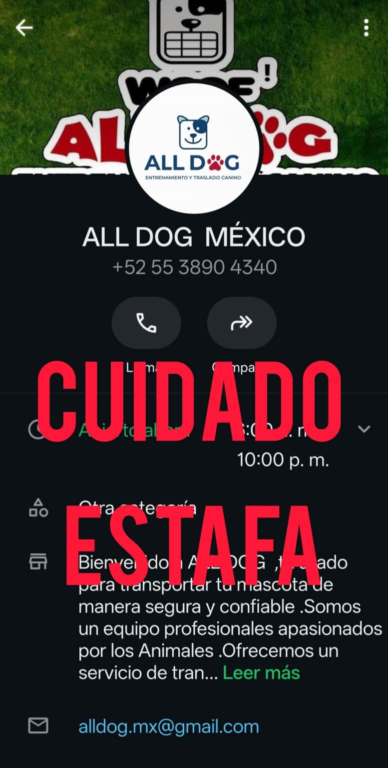 Alerta de fraude - perfil falso de AllDog