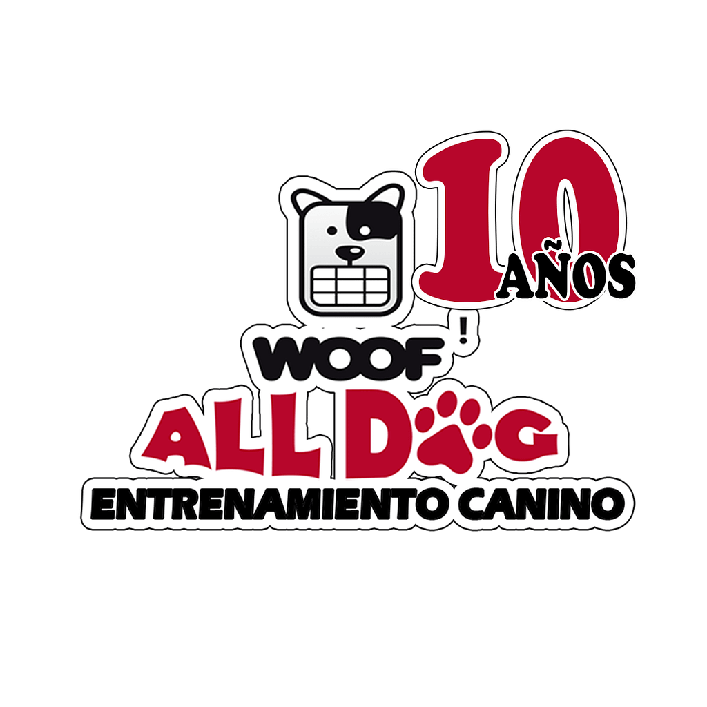 Alldog entrenamiento canino 10 años