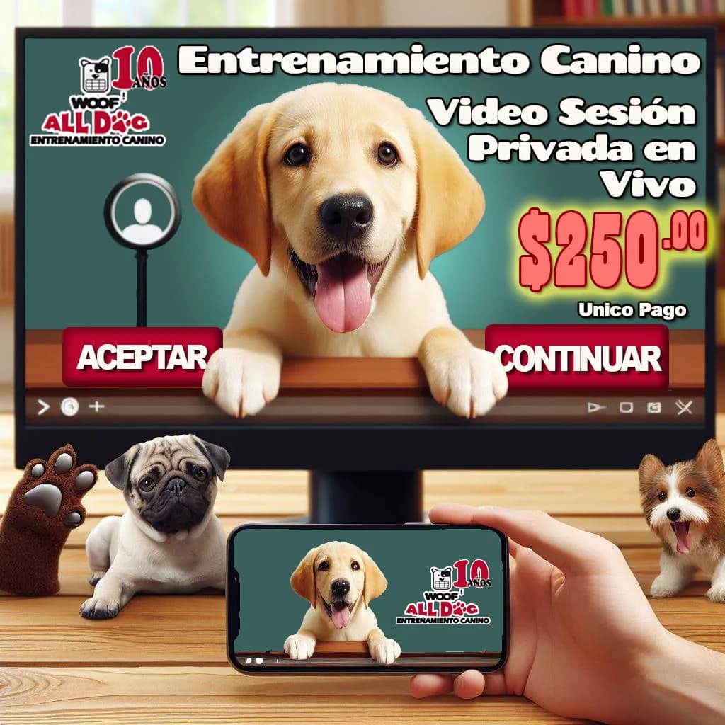 Entrenamiento canino en línea
