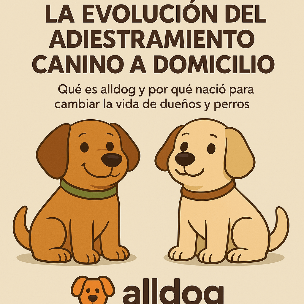 Alldog: La evolución del adiestramiento canino a domicilio