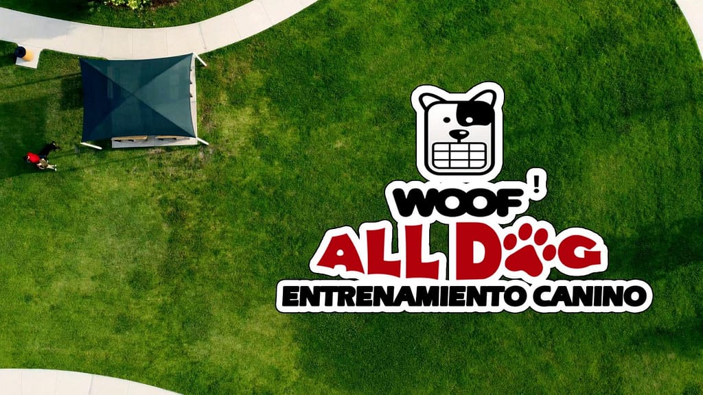 portada ENTRENMIENTO CANINO