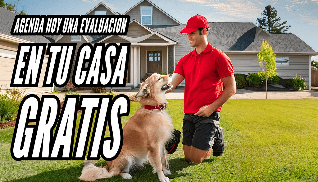 Evaluación canina Gratis