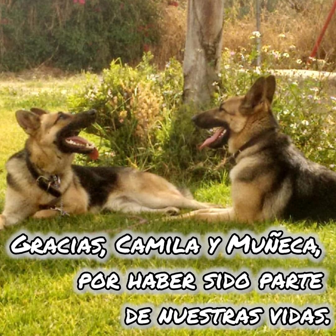 Gracias Camila y Muñeca por haber sido parte de nuestras vidas