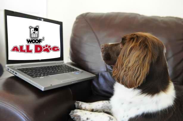 Contacto entrenador de perros