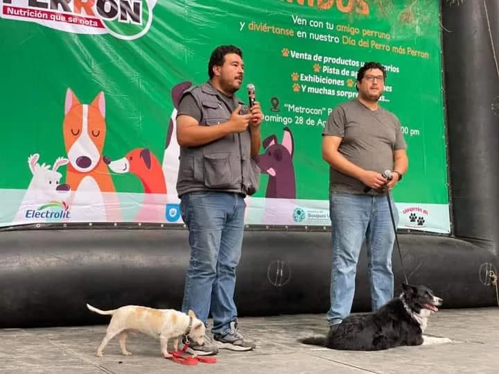 Platica dia del perro