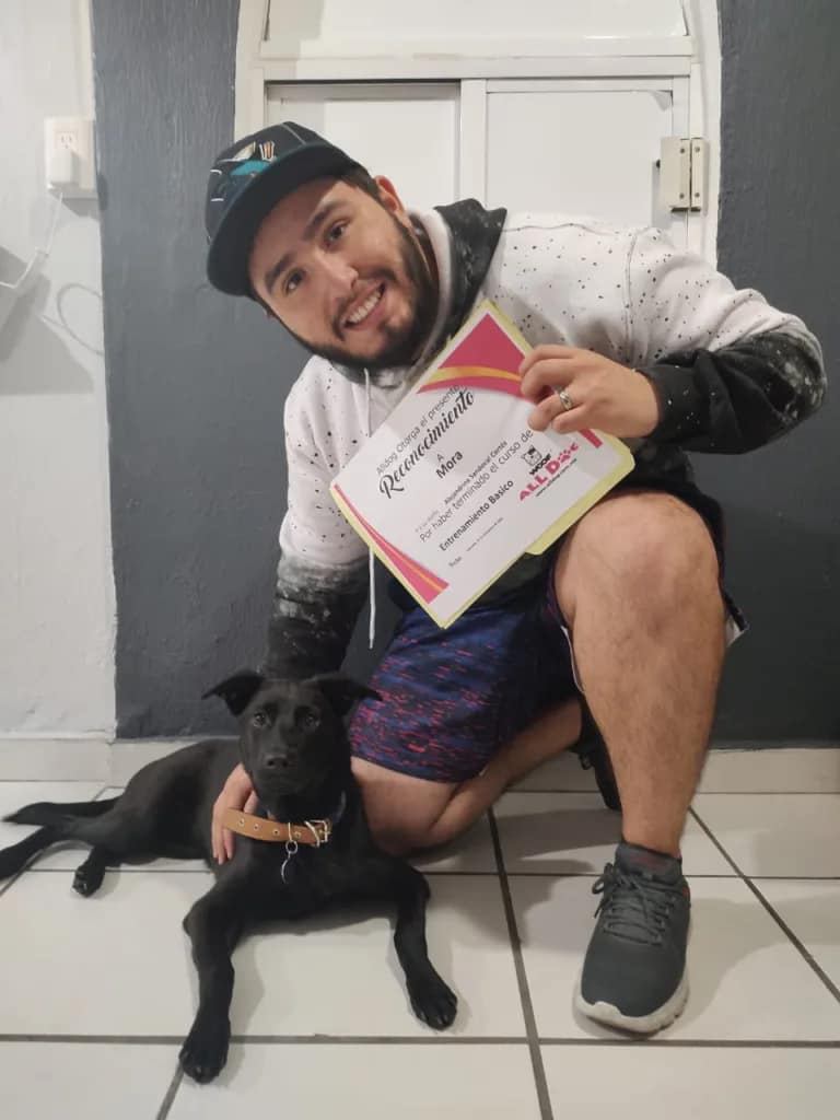 Entrenador de perros