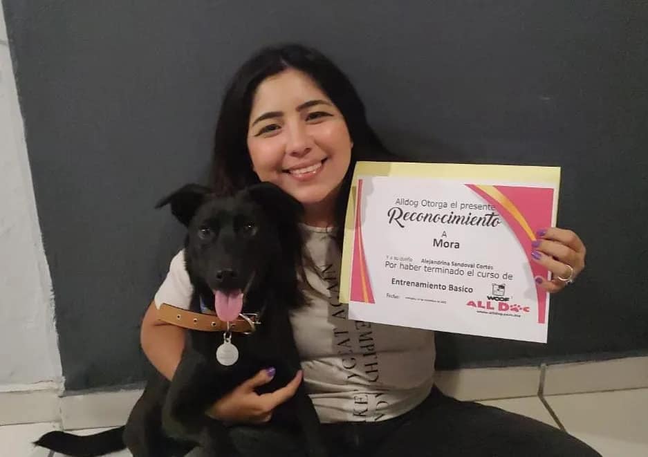 Entrenamiento canino monterrey