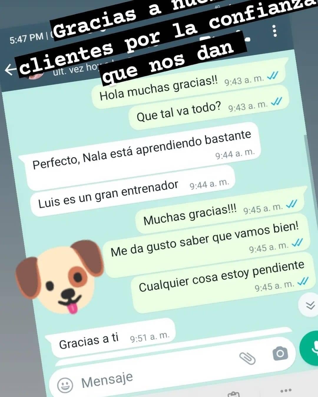 Perros entrenados por AllDog