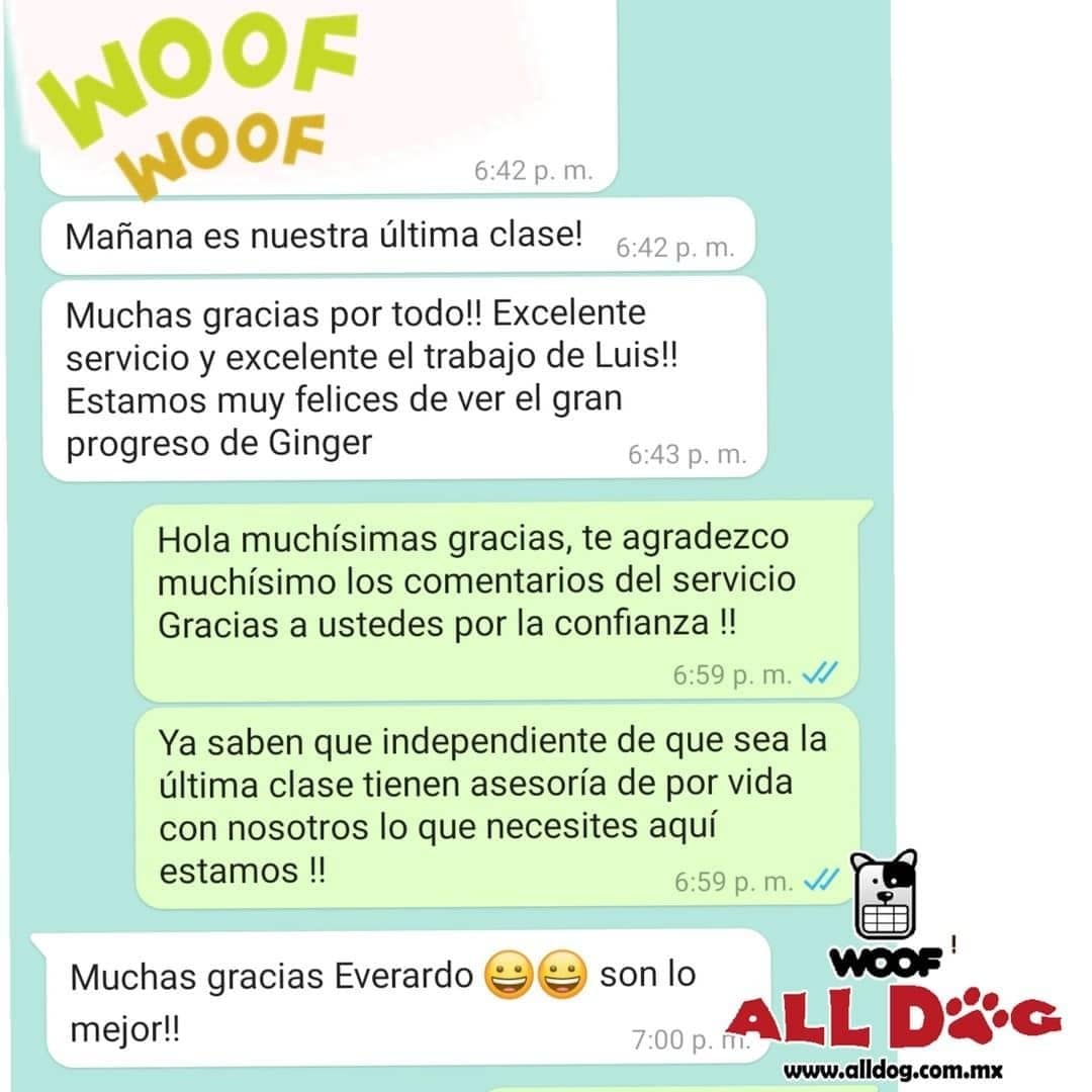 Clientes satisfechos entrenamiento canino