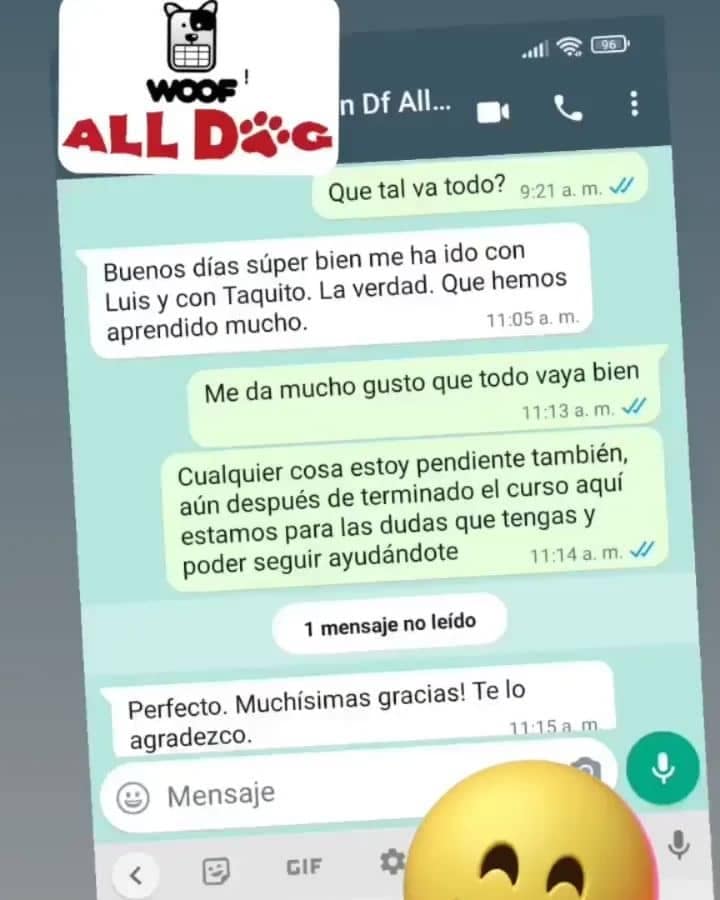 Reseñas AllDog