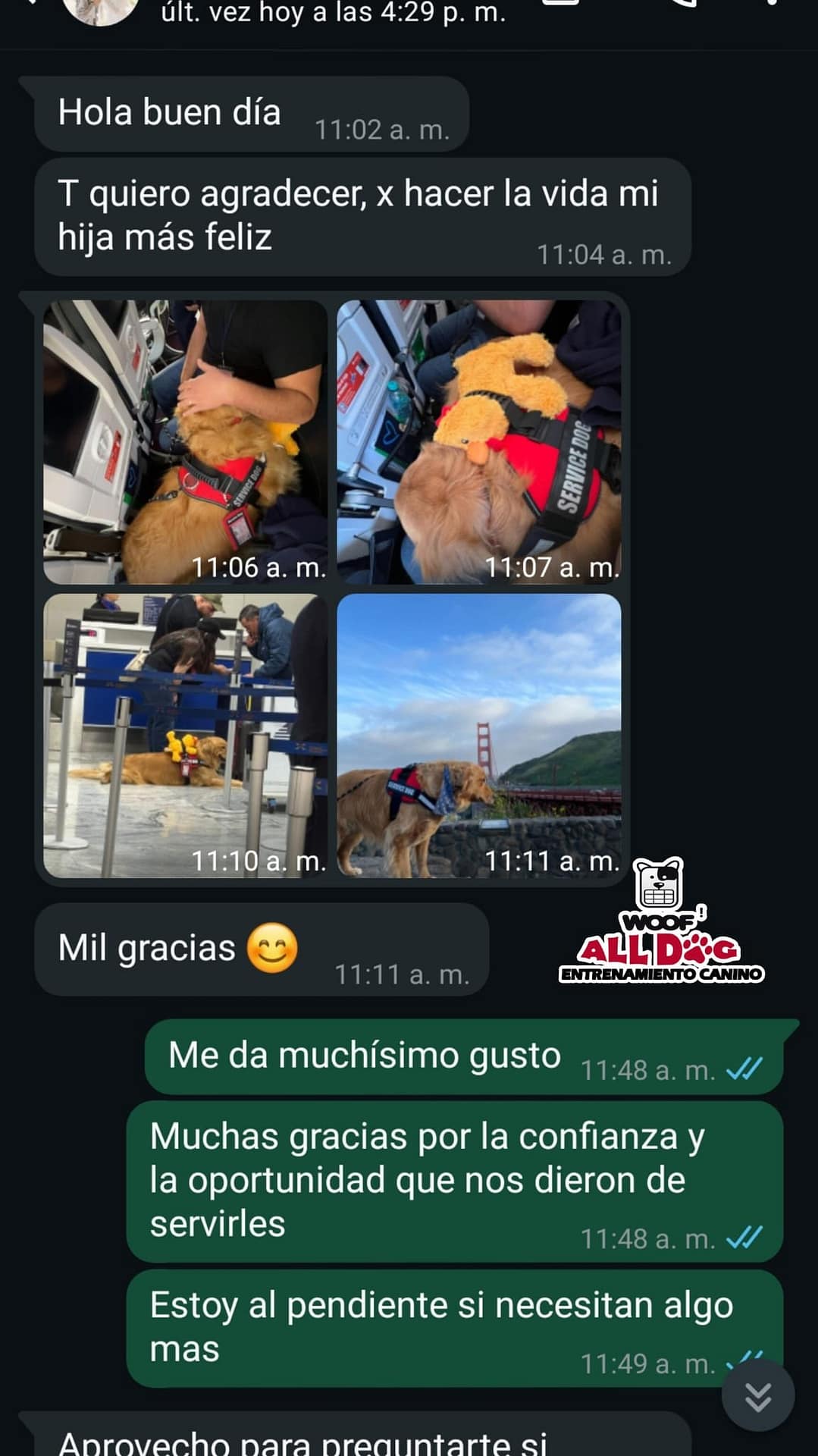 Opinión real de cliente satisfecho con traslado internacional de mascotas ALLDOG